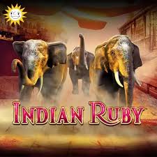 Indian Ruby – Bewertung